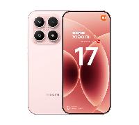 17 (5G) 512 Go, Rose