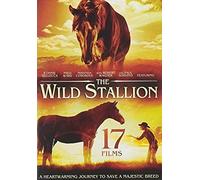 17-Film Family Featuring The Wild Stallion