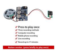 17 Minutes de Son, Voix, Audio, Enregistreur de Musique, Puce, Module de Musique Programmable pour Carte de V¿Ux, Cadeau Fait Maison
