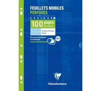 1741c Un Étui De Feuillets Mobiles Perforés Bleus- A4 21x29,7 Cm - 100 Pages Grands Carreaux - Papier 90 G - Étui Réutilisable[Z25]