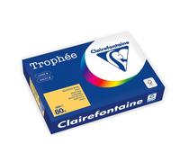 Clairefontaine Papier couleur Bouton d'or A4 80 g/m² 500 feuilles