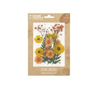 18 fleurs pressées - prairie jaune - Graine Créative
