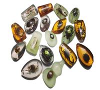 18 pièces Fossiles d'ambre d'insectes, pendentifs fossiles d'ambre BOSOIRSOU, différents spécimens d'insectes, insectes conservés en résine, jouet éducatif pour enfants - motifs aléatoires