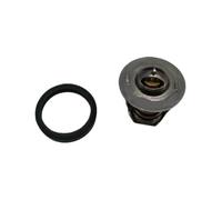 18-S91J Thermostat hors-bord Johnson Evinrude OMC 5033385 | 2CV 4CV 5CV 6CV
