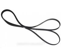 1885H8EL COURROIE DE TRANSMISSION pour sèche linge ARISTON - C00036195