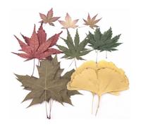 18pcs Les Pétales de Fleurs Pressées à Séchés Multicolores Laissent Un Vrai Art de Bricolage Naturel avec des Hortensias Hirondelle pour Les Amateurs d'art des conceptions d'artisanat Uniques