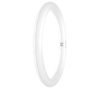 LEDVANCE Tube LED T9 Value Circulaire (EM/Direct 230V) 18.3W 2000lm - 830 Blanc Chaud | Équivalent 32W