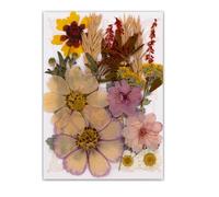 19/20 / 21 / 22pcs Feuilles De Fleurs Séchées Pressées Naturelles Fixées pour Fabriquer des Signets D'artisanat en Résine Artisanat De Fabrication Scrapbooking Unique Décoration Maison Unique