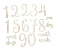 19 Pièces Cartes de Milestones pour Cartes pour Capturer Moments de Nouveaux
