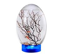 19 x 8,2 cm - Écosystème aquatique fermé - Design transparent - Léger - Pour la maison/le bureau - Écosystème aquatique fermé