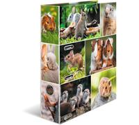 [19252] HERMA Classeur à levier "Monde animal", Rongeurs