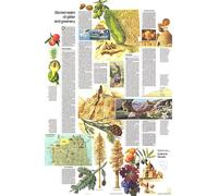 1974 Gros plan USA, thème Californie et Nevada