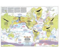 1976 Grandes baleines, carte de migration et d'aire de répartition