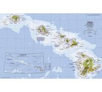 1976 Gros plan USA, Hawaii Carte