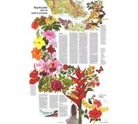 1976 Gros plan USA, thème Hawaii