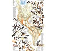 1979 Carte de la migration des oiseaux dans les Amériques