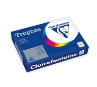 Clairefontaine Gris clair A4 Papier couleur 80 g/m² (500 feuilles)
