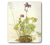 1art1 Albrecht Dürer Ancolie, 1520 Tapis De Souris 23x19 cm