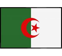 1art1 Algérie Affiche Murale et Cadre (Plastique) - Drapeaux du Monde (91 x 61cm)