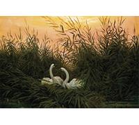1art1 Caspar David Friedrich Sticker Mural Cygnes dans Les Roiseaux, vers 1820 Poster Papier Peint Autocollant 180x120 cm