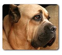 1art1 Chiens Cane Corso Mastiff Italien Tapis De Souris 23x19 cm