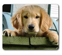 1art1 Chiens Chiot Câlin Golden Retriever Tapis De Souris 23x19 cm