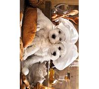 1art1 Chiens Poster Deux Pâtissiers Mignons Affiche Reproduction 180x120 cm