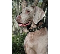 1art1 Chiens Sticker Mural Weimaraner De Profil Poster Papier Peint Autocollant 180x120 cm