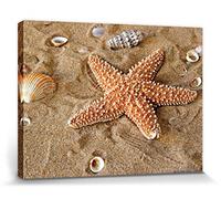 1art1 Étoiles De Mer Poster Impression sur Toile Étoile De Mer Et Coquillages dans Le Sable Affiche Murale XXL Encadrée | Tendue sur Cadre en Bois | Tableau 40x30 cm