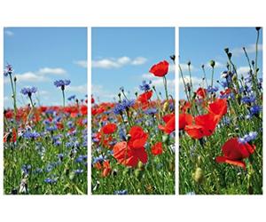 1art1 Fleurs Poster Impression sur Toile Pré De Fleurs Sauvages avec Bleuets Et Coquelicots, 3 Parties Affiche Murale XXL Encadrée | Tendue sur Cadre en Bois | Tableau 180x120 cm