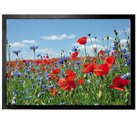 1art1 Fleurs Pré De Fleurs Sauvages avec Bleuets Et Coquelicots Paillasson Essuie-Pieds 70x50 cm