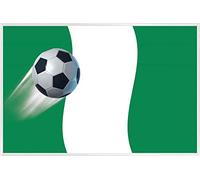 1art1 Football Affiche Murale et Cadre (Plastique) - Drapeau du Nigeria (91 x 61cm)
