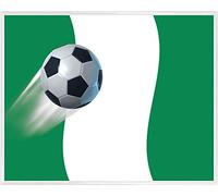 1art1 Football Affiche Reproduction et Cadre (Plastique) - Drapeau du Nigeria (50 x 40cm)