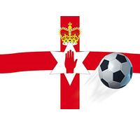 1art1 Football Posters XXL Drapeau De L'Irlande du Nord Affiche 120x80 cm
