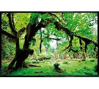 1art1 Forêts Affiche Murale et Cadre (Plastique) - Forêt Verte, Retour À La Nature (91 x 61cm)