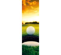 1art1 Golf Balle Juste Au Bord du Trou, 1 Partie Poster Papier Peint 250x79 cm