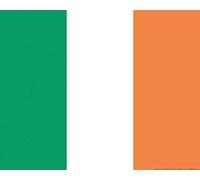 1art1 Irlande Poster Drapeaux du Monde Affiche Murale 50x40 cm