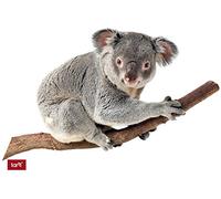 1art1 Koalas Je Ne Fais Que Glander, Koala sur Une Branche Sticker Adhésif Mural Autocollant 100x60 cm