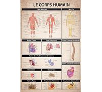 1art1 Le Corps Humain Poster - Anatomie Muscles Os Organs | Poster en Français (91 x 61 cm) | Ecole Sciences Anatomie | Affiche Educative