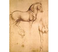 1art1 Leonardo Da Vinci Poster Étude De Cheval, 1493-1494 Affiche Reproduction 80x60 cm