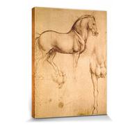 1art1 Leonardo Da Vinci Poster Impression sur Toile Étude De Cheval, 1493-1494 Affiche Murale XXL Encadrée | Tendue sur Cadre en Bois | Tableau 40x30 cm