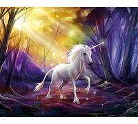1art1 Licornes Poster Licorne dans La Forêt Magique Affiche Reproduction 50x40 cm