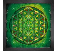 1art1 Mandalas Affiche Reproduction et Cadre (MDF) - La Fleur De Vie, L'Élement Terre (40 x 40cm)
