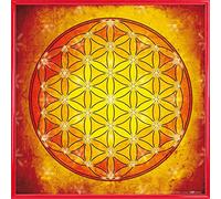 1art1 Mandalas Affiche Reproduction et Cadre (Plastique) - La Fleur De Vie, L'Élement Feu (40 x 40cm)
