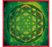 1art1 Mandalas Affiche Reproduction et Cadre (Plastique) - La Fleur De Vie, L'Élement Terre (40 x 40cm)