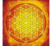 1art1 Mandalas Poster La Fleur De Vie, L'Élement Feu Affiche Reproduction 100x100 cm