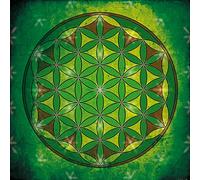 1art1 Mandalas Poster La Fleur De Vie, L'Élement Terre Affiche Reproduction 100x100 cm