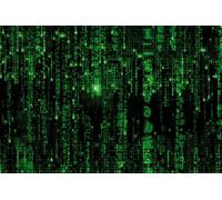 1art1 Matrix Poster Code Matrix, Pluie Verte Affiche Murale 91x61 cm