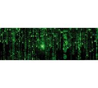 1art1 Matrix Poster Code Matrix, Pluie Verte Affiche Reproduction 91x30 cm