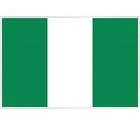 1art1 Nigéria Affiche Murale et Cadre (Plastique) - Drapeaux du Monde (91 x 61cm)